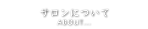 サロンについて
