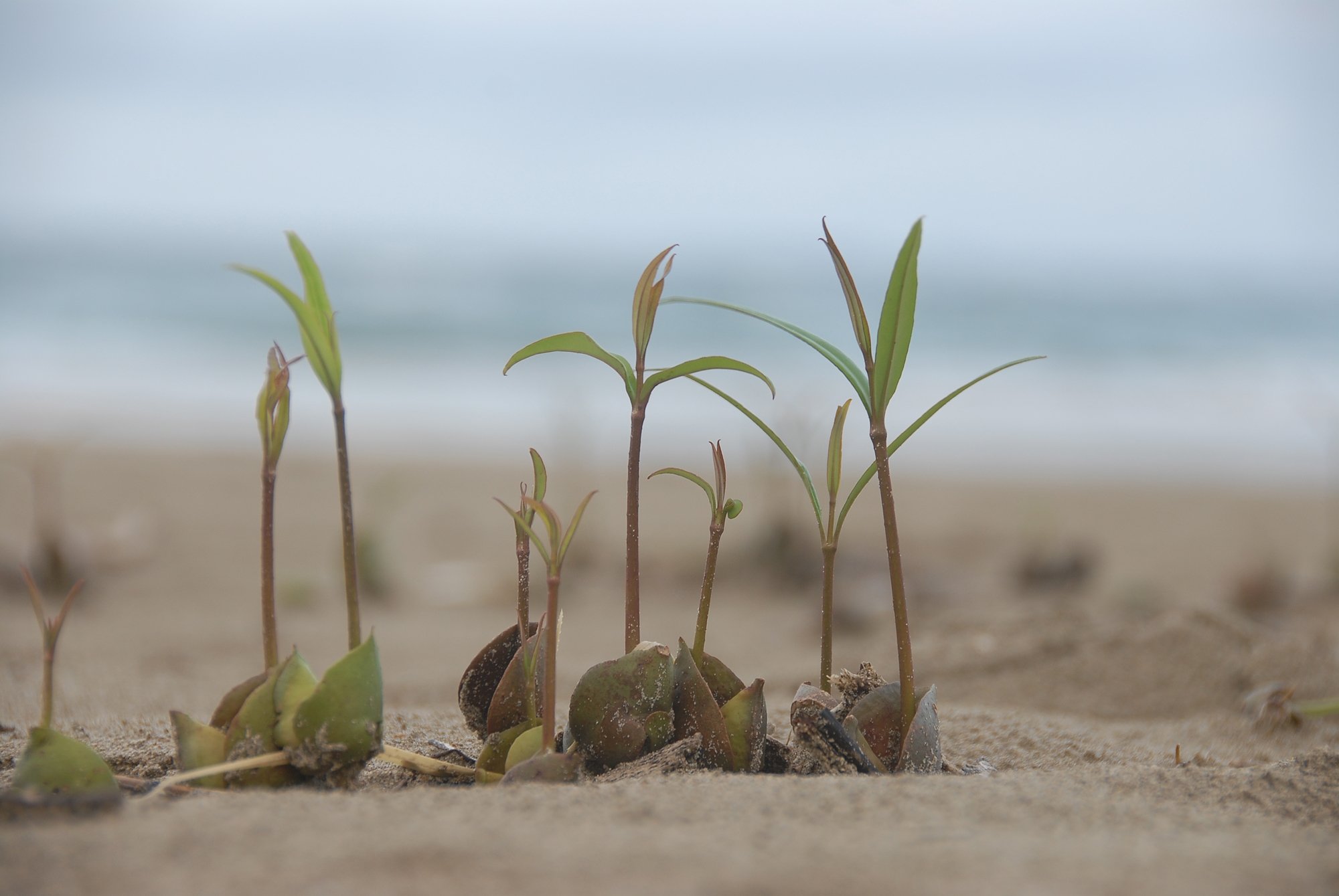 各種トレーニングイメージ画